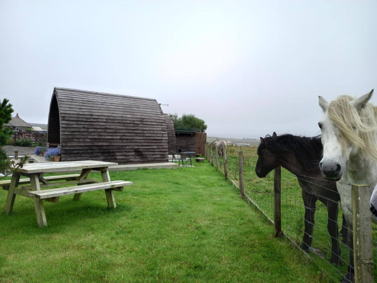 Hillside Camping Pods Wick  Eksteriør billede